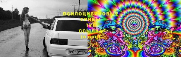 эйфоретик Алексеевка