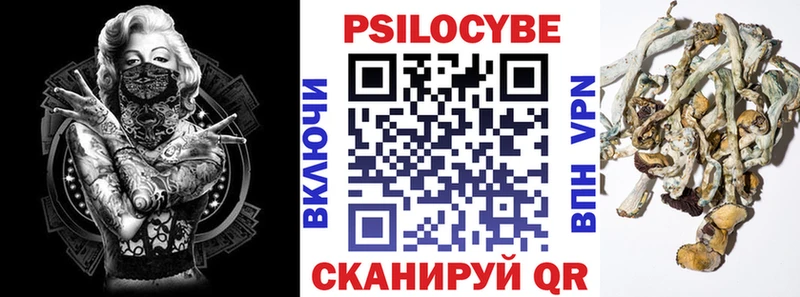 Псилоцибиновые грибы Psilocybe  даркнет сайт  Железногорск-Илимский 